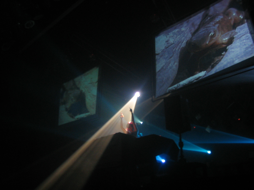 Suzy Solar @ The Amphitheater9