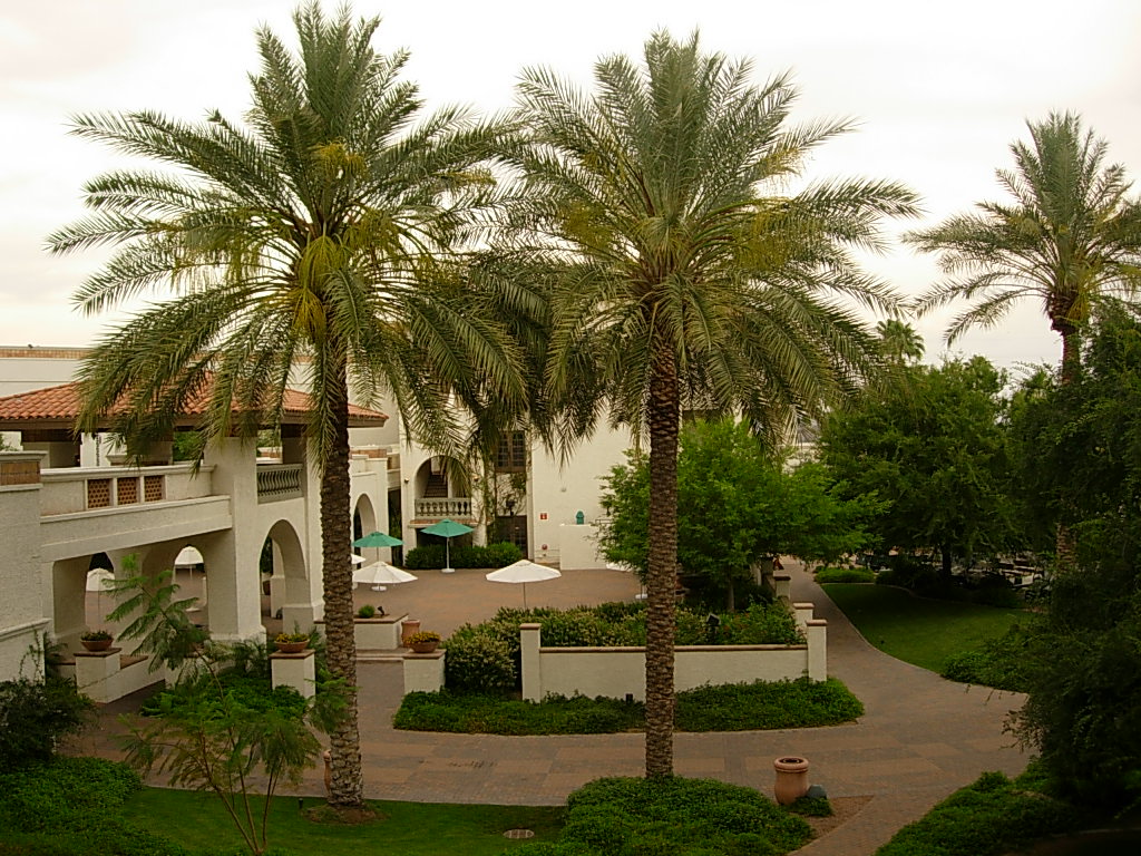 29. May 17, 09 - View from Suzy's patio @ Arizona Grand Resort