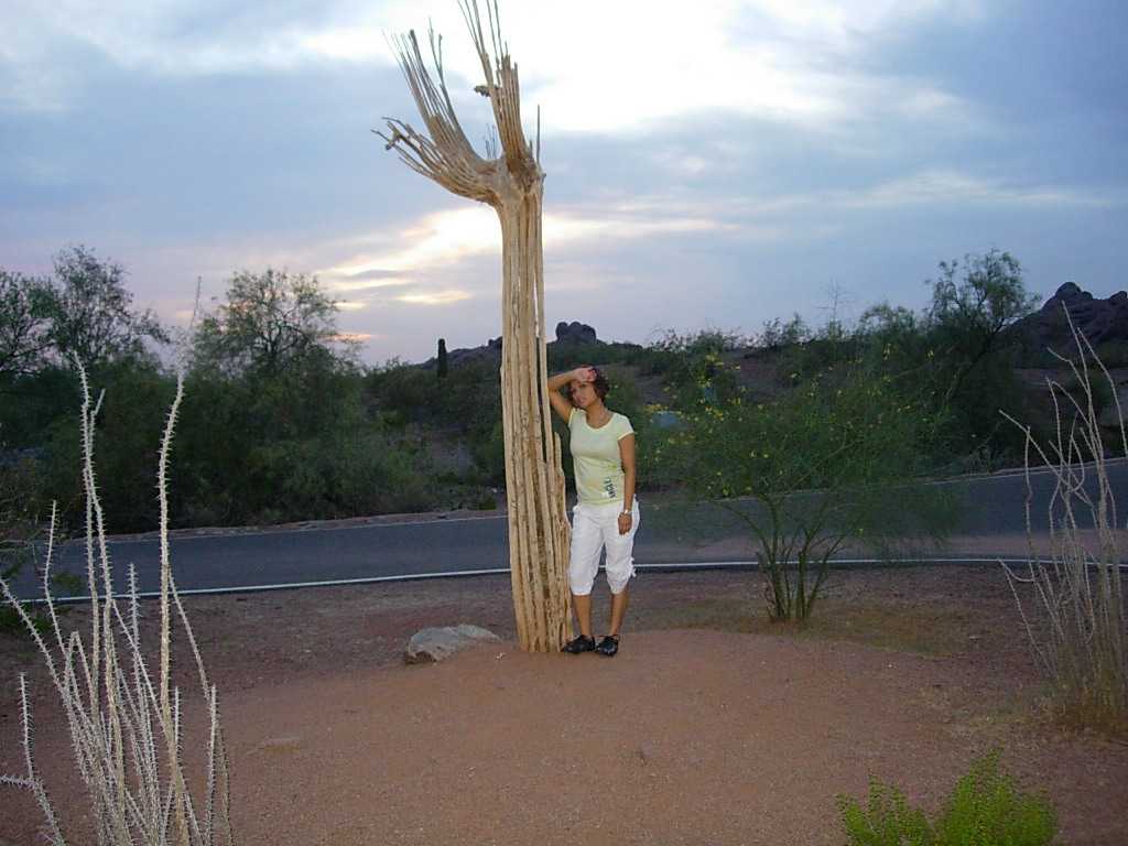 33. May 17, 09 - Suzy Solar in the desert