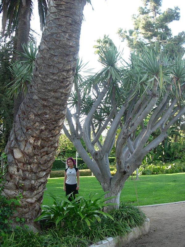 Suzy at Will Rogers park