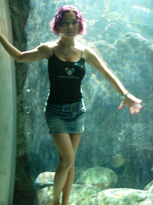 Tampa Aquarium - Suzy 4