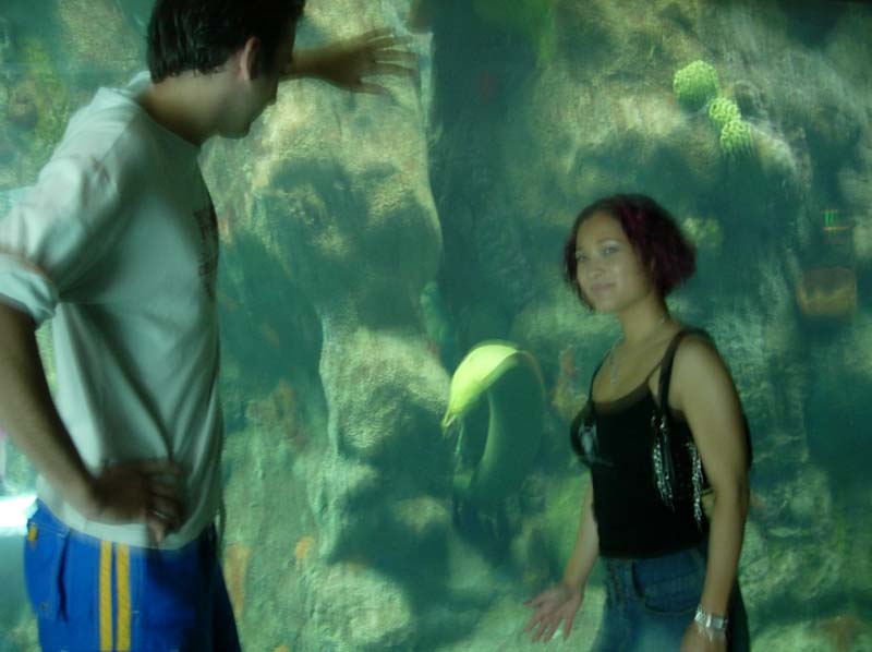 Tampa Aquarium - Thomas, Suzy, & moray eel