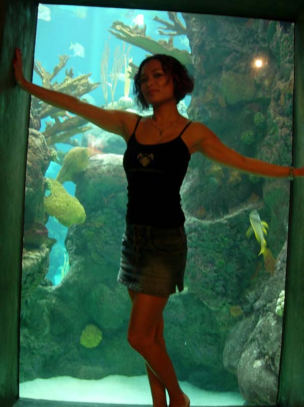 Tampa Aquarium - suzy 2