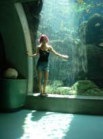 Tampa Aquarium - Suzy 3