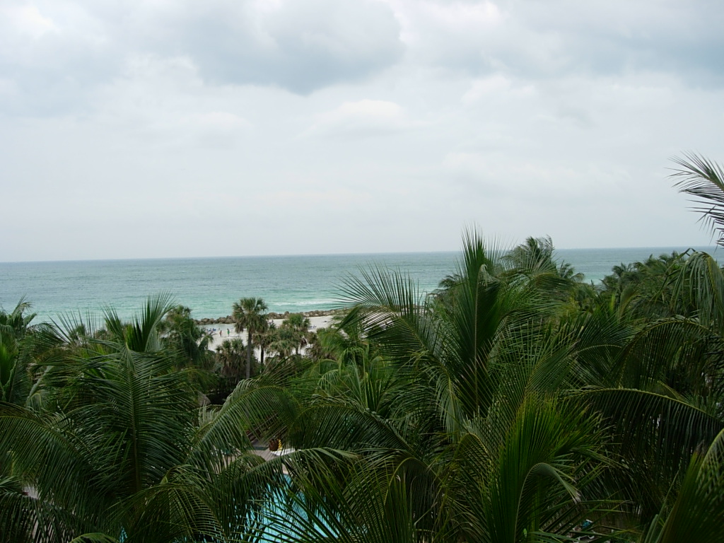 view of South Beach from out room